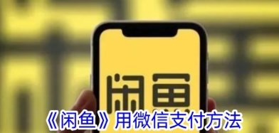 闲鱼怎么用微信支付 闲鱼改成微信付款方法