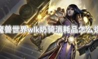 魔兽世界wlk奶骑消耗品怎么选