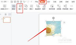 PPT演示文稿如何操作图片镜像翻转