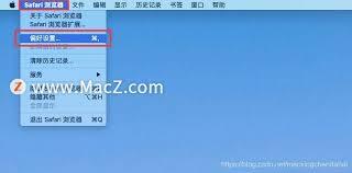 Safari怎么调整网页字体大小