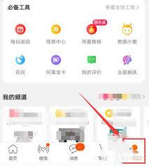 如何在手机淘宝查看消费总额