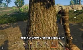 失控进化道具有哪些