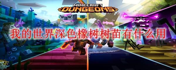 我的世界深色橡树树苗有什么用