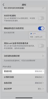 Lark通知免打扰错位如何解决