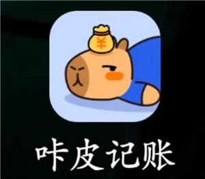 咔皮记账怎么自动记账 咔皮记账自动记账安全吗