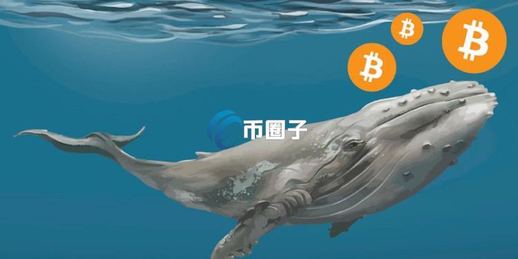 真有内幕？1011内幕巨鲸再开5亿美元比特币空单 光速获利2000万美元