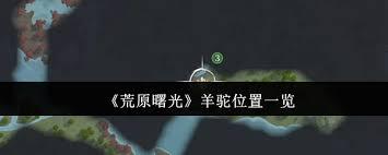 荒原曙光中羊驼的位置在哪