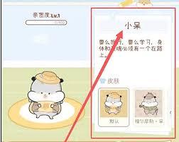 奶酪单词在哪看仓鼠信息