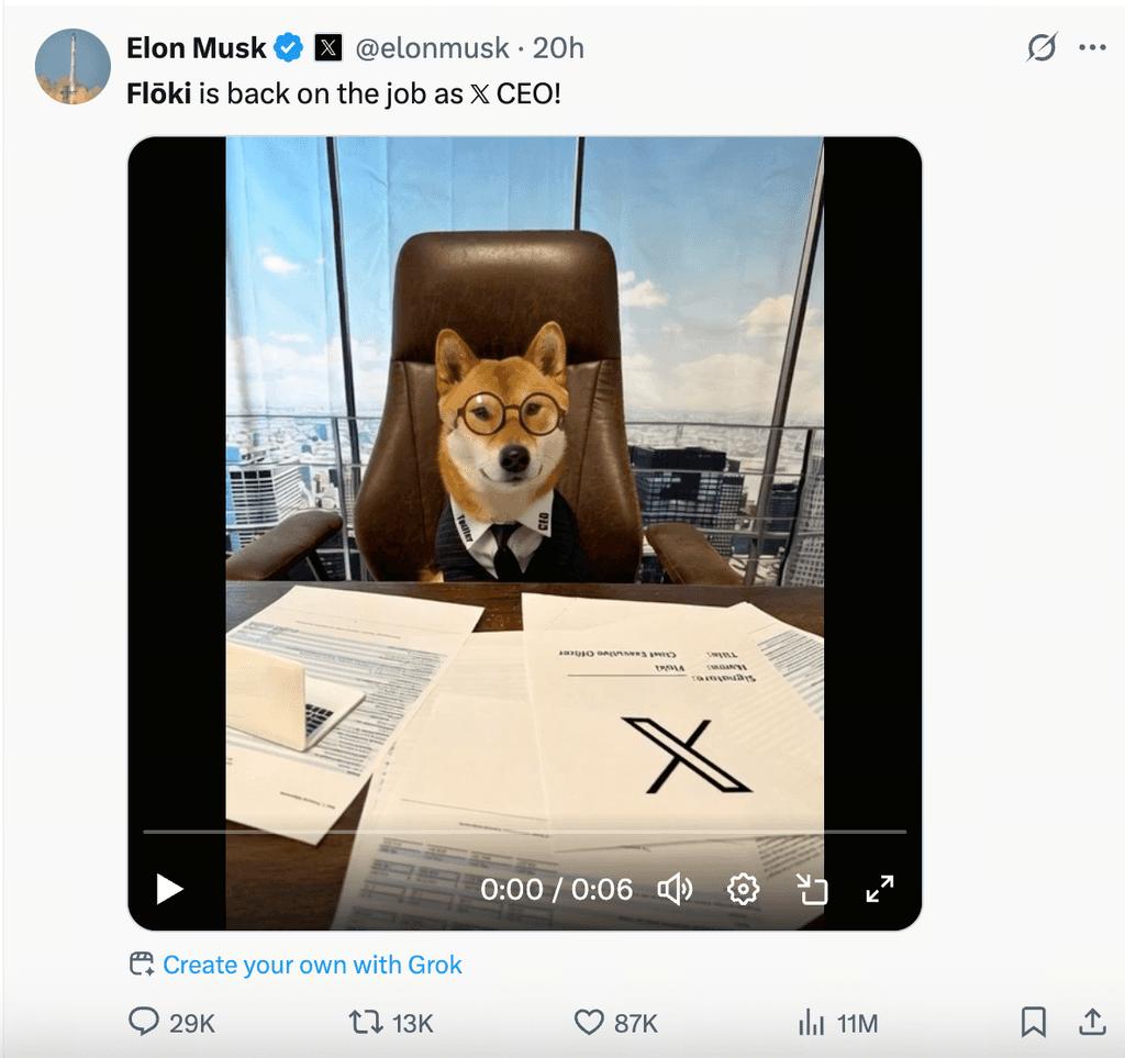 马斯克任命爱犬Floki执掌X，FLOKI模因币应声飙升25%！