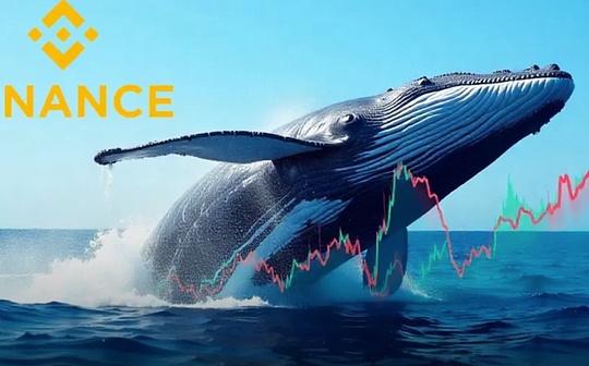 从交易所到链上金融一文看懂Binance「活水」何来