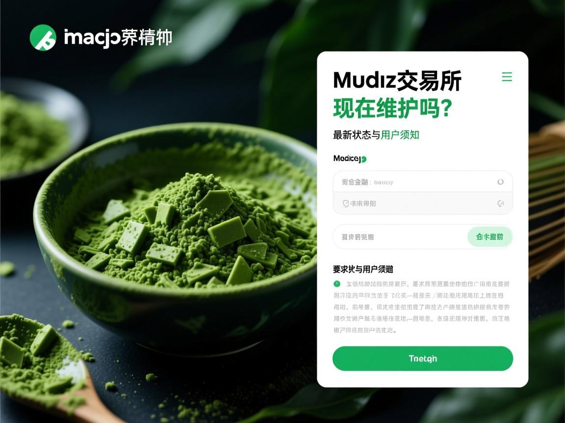 抹茶交易所现在维护吗 最新状态与用户须知