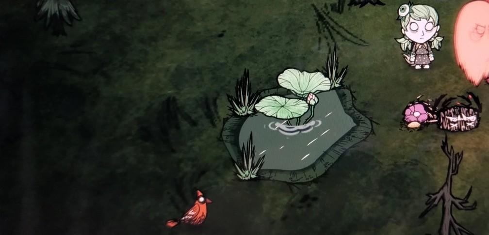 饥荒芭蕉树和莲花株作用介绍