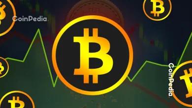 比特币可能是过热市场中唯一值得购买的资产——这就是为什么比特币价格可能不会下跌的原因