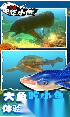 好玩的大鱼吃小鱼游戏版有哪些 有趣的鱼类吞噬游戏盘点2025