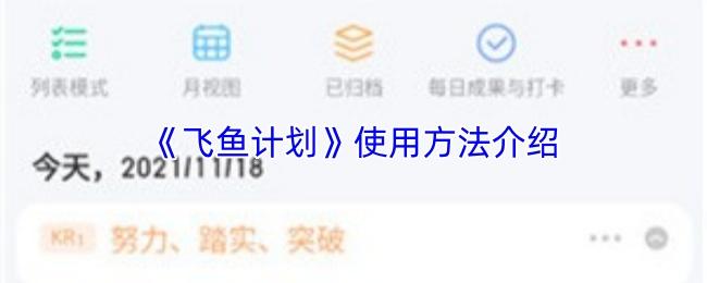 飞鱼计划 使用方法介绍