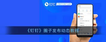 如何在钉钉圈子发布文字动态