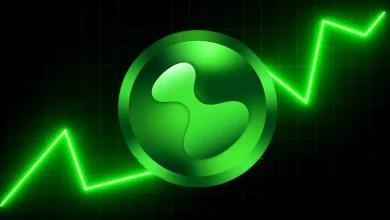 Hyperliquid (HYPE) 的下一步走势如何 突破历史新高还是即将反转