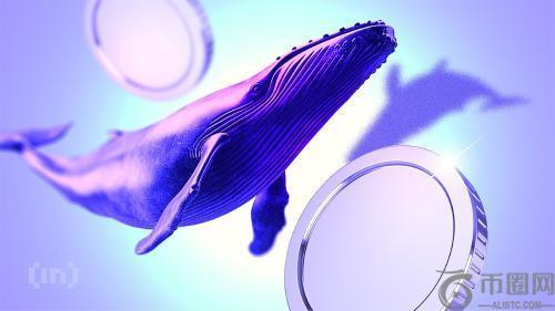 墨西哥航运公司就“白鲸”事件公开道歉并返还300万美元冻结资金