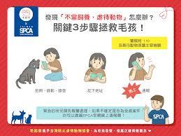 养宠记如何记录宠物事件