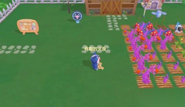 摩尔庄园樱花树种子怎么得