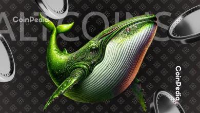 黑色星期五特惠：加密货币崩盘期间最值得买入的顶级山寨币