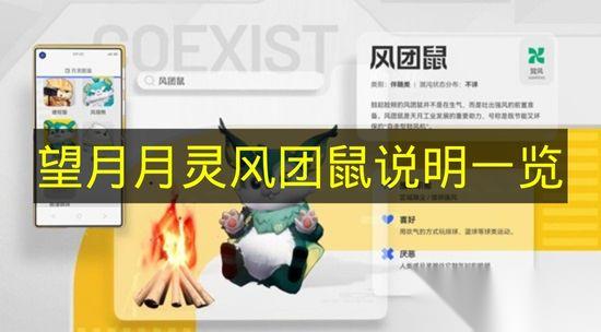 望月 月灵风团鼠说明介绍