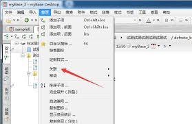 mybase如何设置关联项