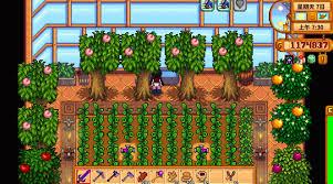 星露谷物语温室种植玩法是什么