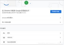 如何在谷歌查看已保存密码