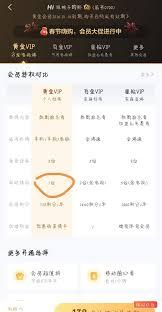 爱奇艺一起看是否需要两人都是会员