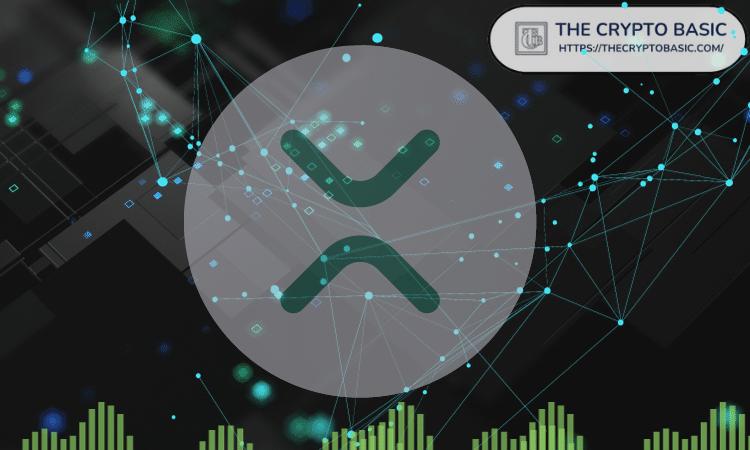 尽管价格下跌了 49%，XRP 自 2025 年第四季度以来仍新增了 50 万多个钱包。