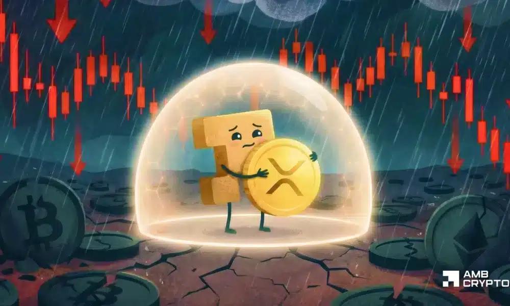 为何 XRP 价格在账本活动接近 2025 年 1 月峰值时停滞不前