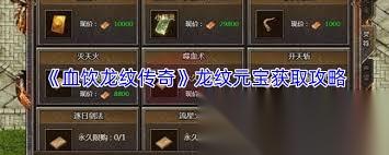 血饮龙纹传奇不动宝珠怎么使用