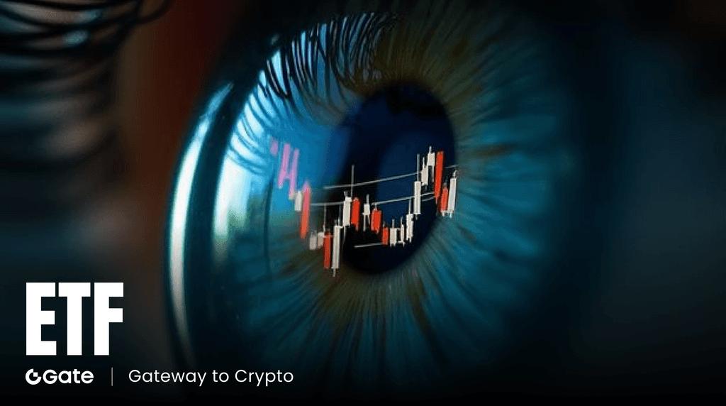 不止于放大：Gate ETF 杠杆机制全解析与风险收益平衡策略