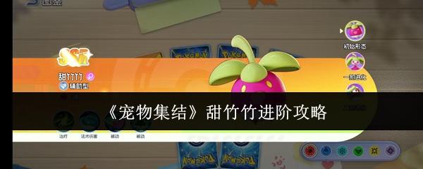 宠物集结 甜竹竹进阶攻略