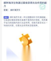 哪种海洋生物能通过摄食获取光合效果能力