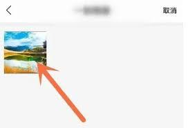 速读免费小说app如何更换手机