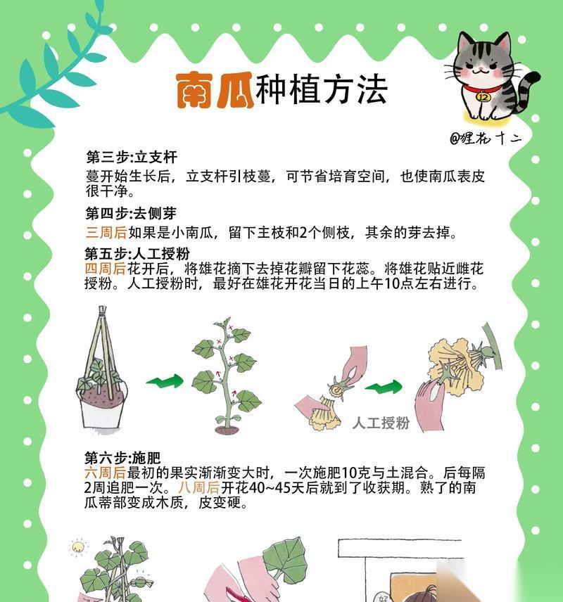 穿越火线南瓜种子种植技巧有什么
