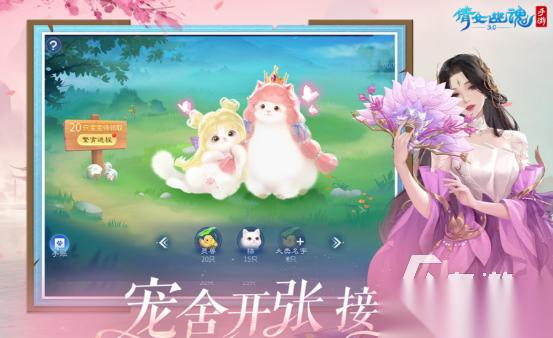 接亲游戏有哪些 2026流行的接亲游戏下载盘点