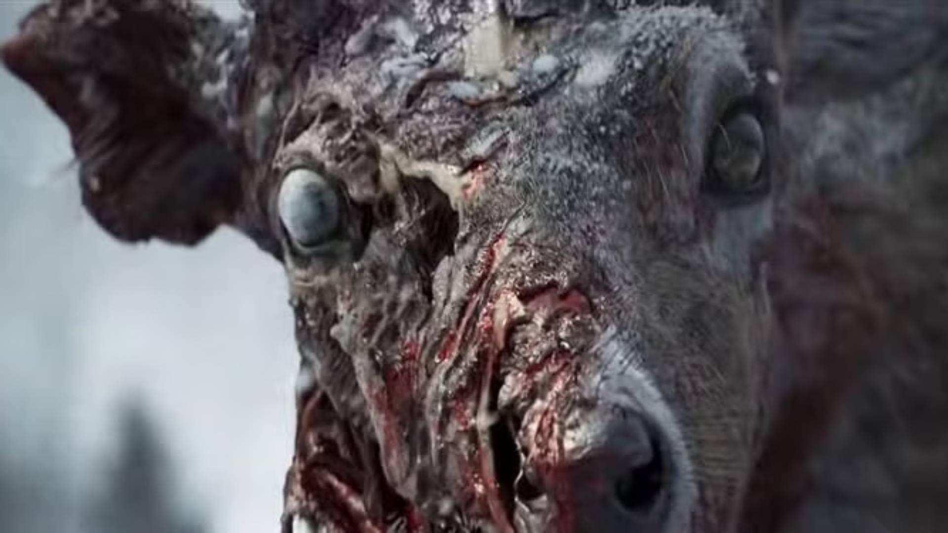 State of Decay 3 负责人坚称游戏中没有僵尸鹿 尽管预告片里有