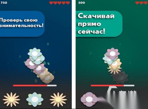 鲜花游戏在哪里下载 2026受欢迎的鲜花游戏分享