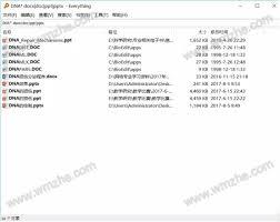如何查看Everything版本