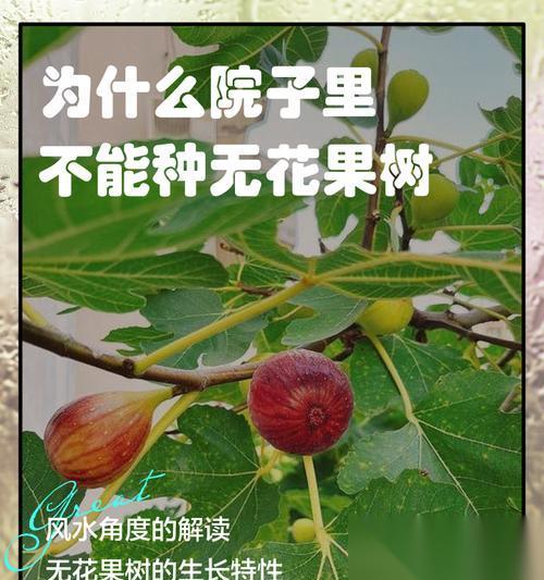 树木不生长的原因是什么 怎么解决种树不长的问题