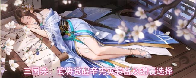 三国杀：武将觉醒辛宪英装备及锦囊选择