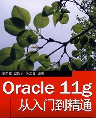 如何初始化Oracle重做日志组
