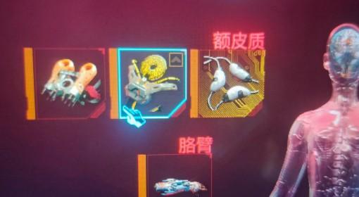 赛博朋克2077 狂暴飞刀流派分享