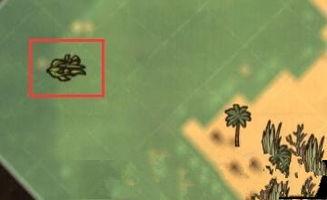饥荒海滩中毒了如何解决