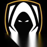 neilzinho 将缺席 Team Heretics 接下来的赛事