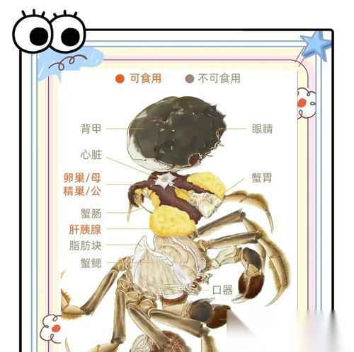 饥荒海难螃蟹 探索饥荒世界的海洋生物资源