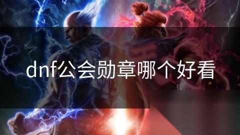 dnf公会勋章哪个好看